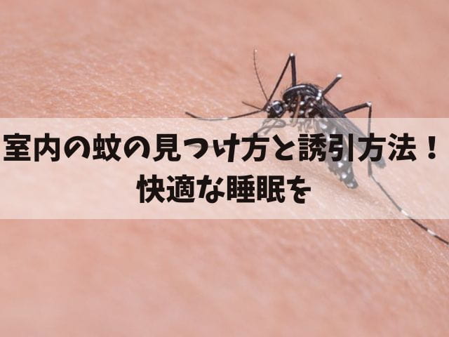 室内の蚊の見つけ方と誘引方法を解説！快適な睡眠を